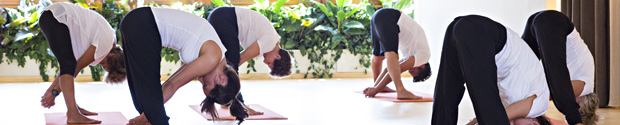 istituto yoga moksha